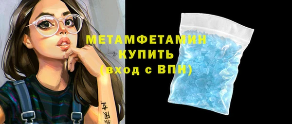 сатива Вяземский