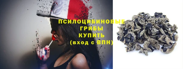 ГАЛЛЮЦИНОГЕННЫЕ ГРИБЫ Горнозаводск