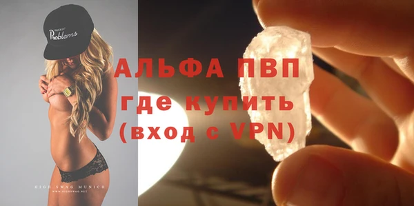 сатива Вяземский