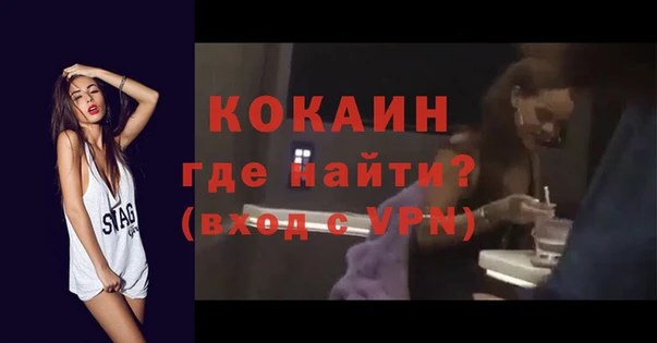 сатива Вяземский