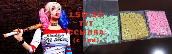 ГАЛЛЮЦИНОГЕННЫЕ ГРИБЫ Горнозаводск