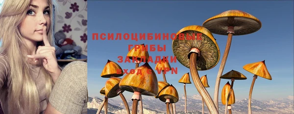 ГАЛЛЮЦИНОГЕННЫЕ ГРИБЫ Горнозаводск