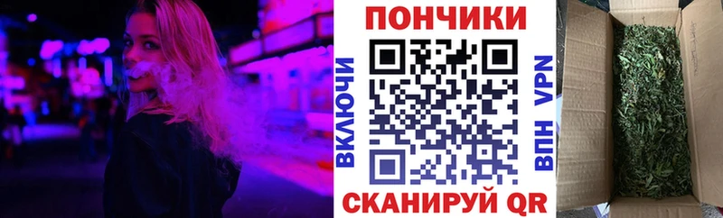 Каннабис семена  закладки  Заозёрск 